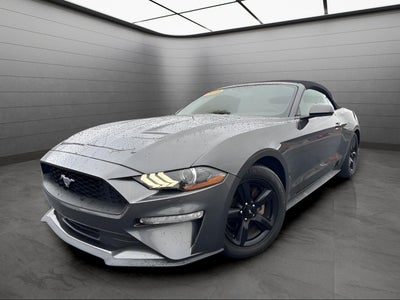 2019 Ford Mustang EcoBoost