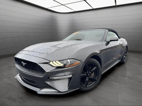 2019 Ford Mustang EcoBoost