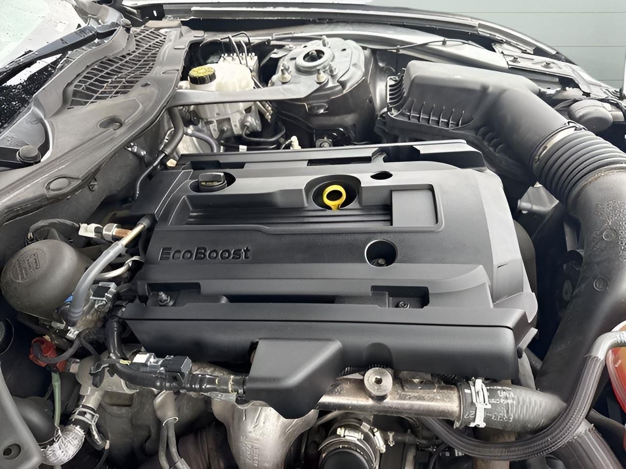 2019 Ford Mustang EcoBoost