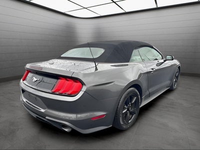 2019 Ford Mustang EcoBoost